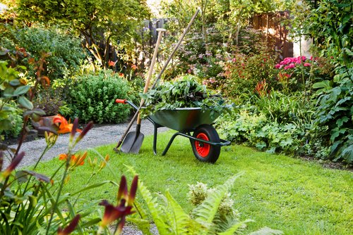 Flower Garden Maintenance – Mulch